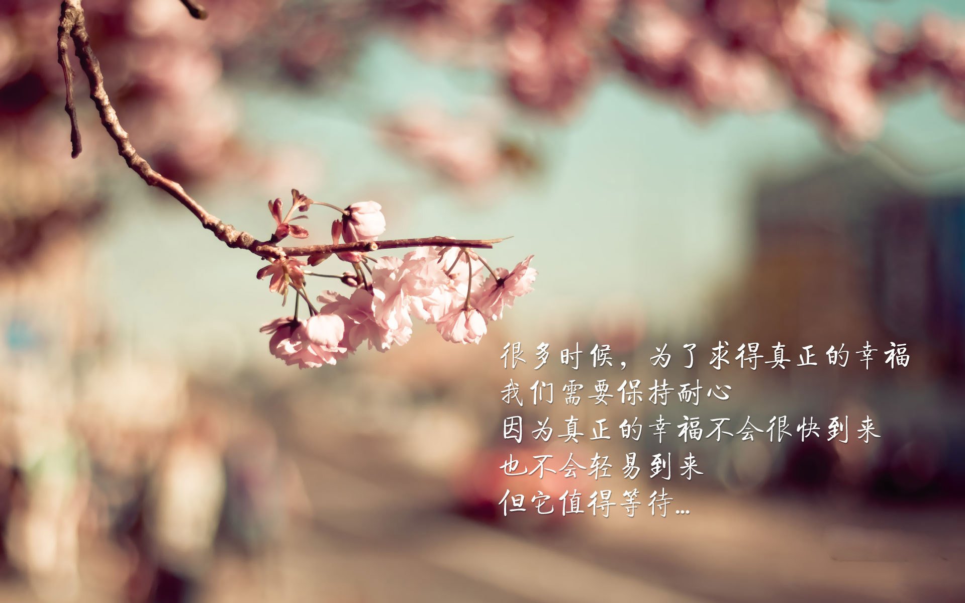 二手挖掘机市场报价表（二手挖掘机）